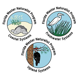 florida master naturalist program