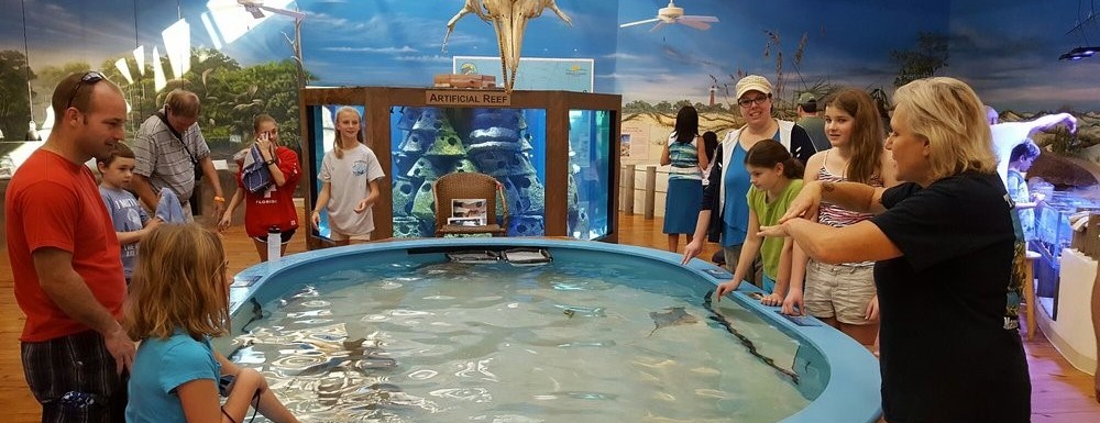 staff educating group of people about rays at the touch pool