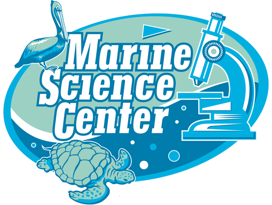 Marine Science Center is back!