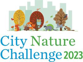 Join the City Nature Challenge