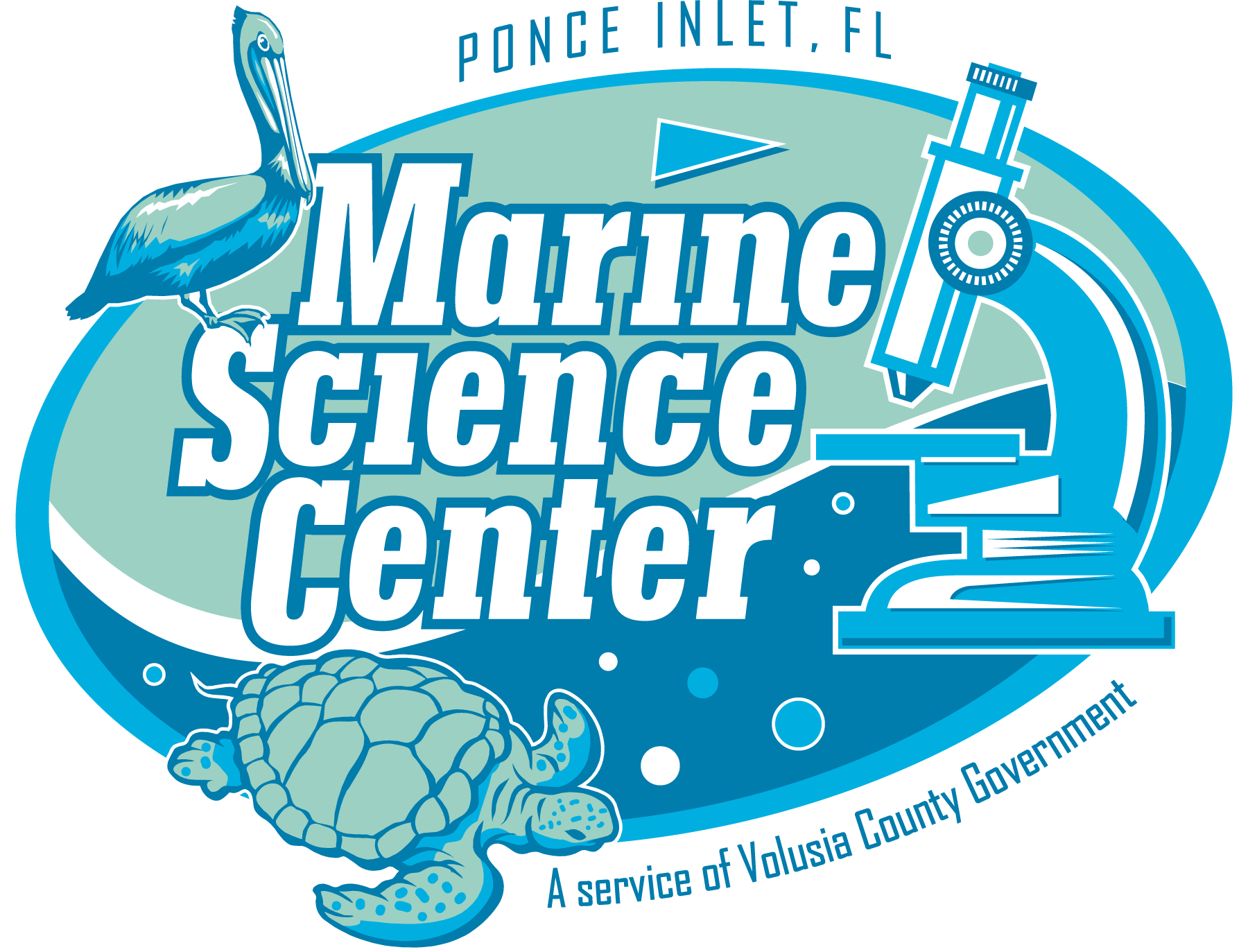 Marine Science Center hosts Turtle Day April 1
