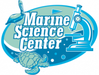 Marine Science Center seabird release