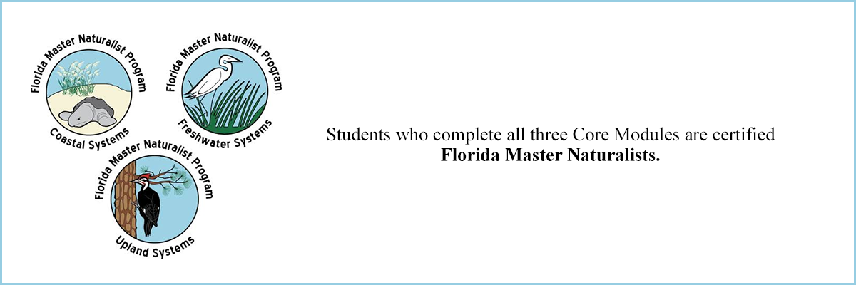 Students who complete all three Core Modules are certified Florida Master Naturalists.