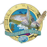 sea turtle logo with sea turtle swimming through a port hole and text that reads marine science center