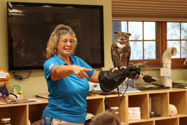 Raptors Live with real owl