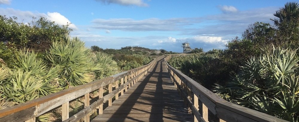 large wooden board walk that goes through the ponce inlet hamocks of saw palms