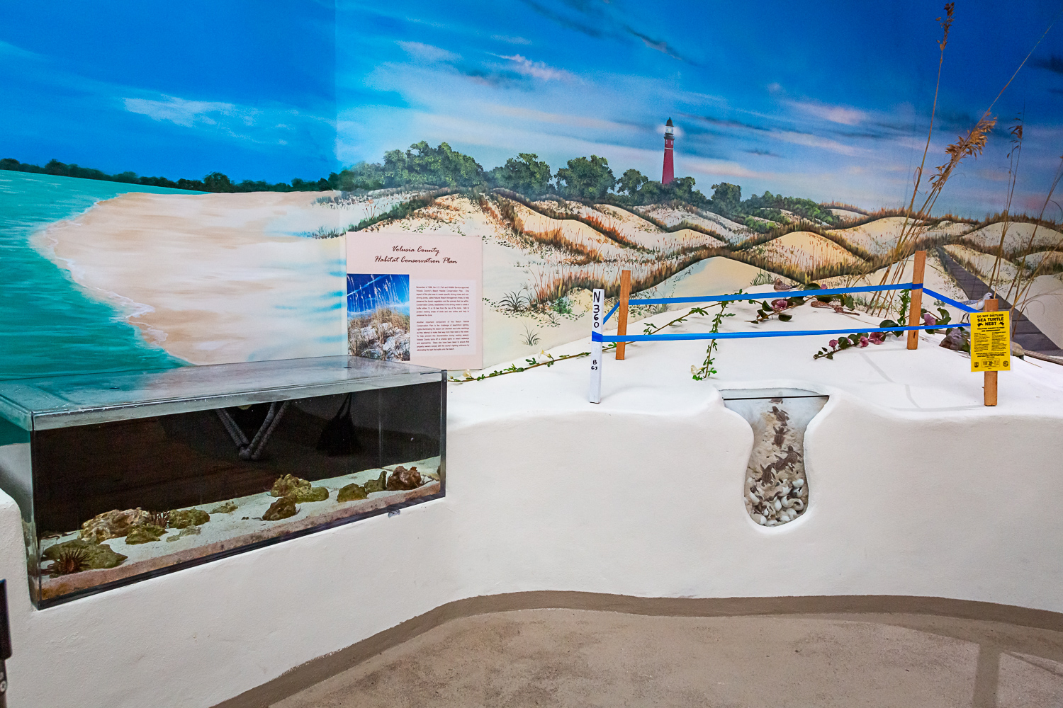 sea turtle exhibit with sea turtle nest on the beach and large turtles
