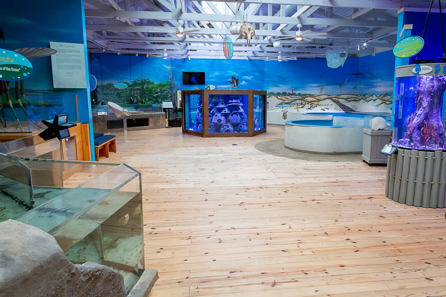 marine science center exhibits including artificial reef and touch pool