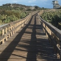 NATURE TRAIL AND OBSERVATION TOWER