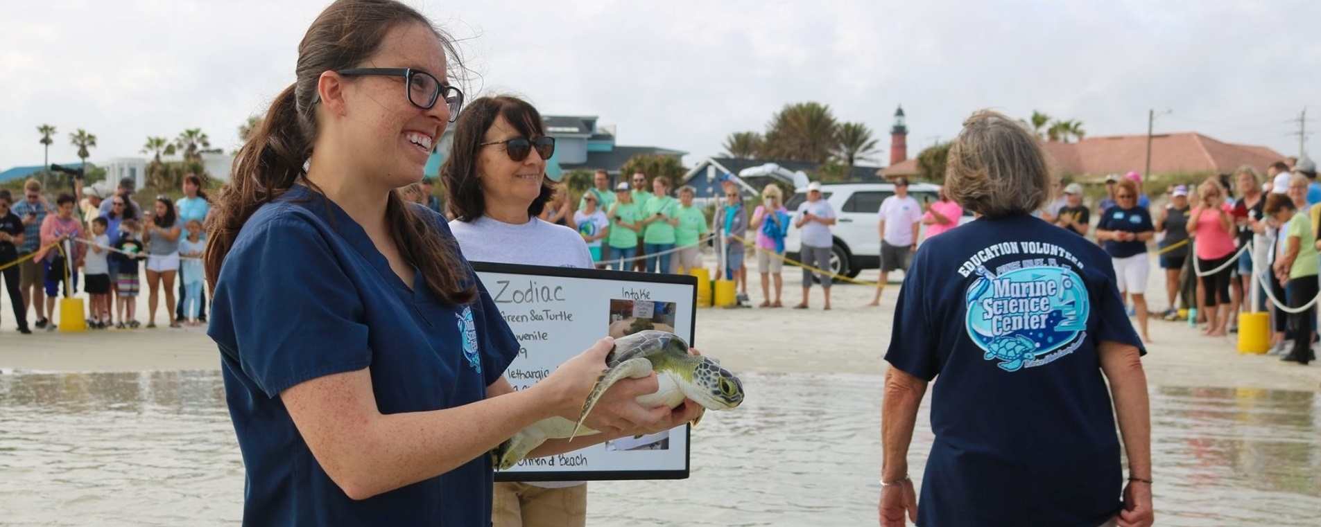 rehabilitated sea turtle releases into the ocean from the beach
