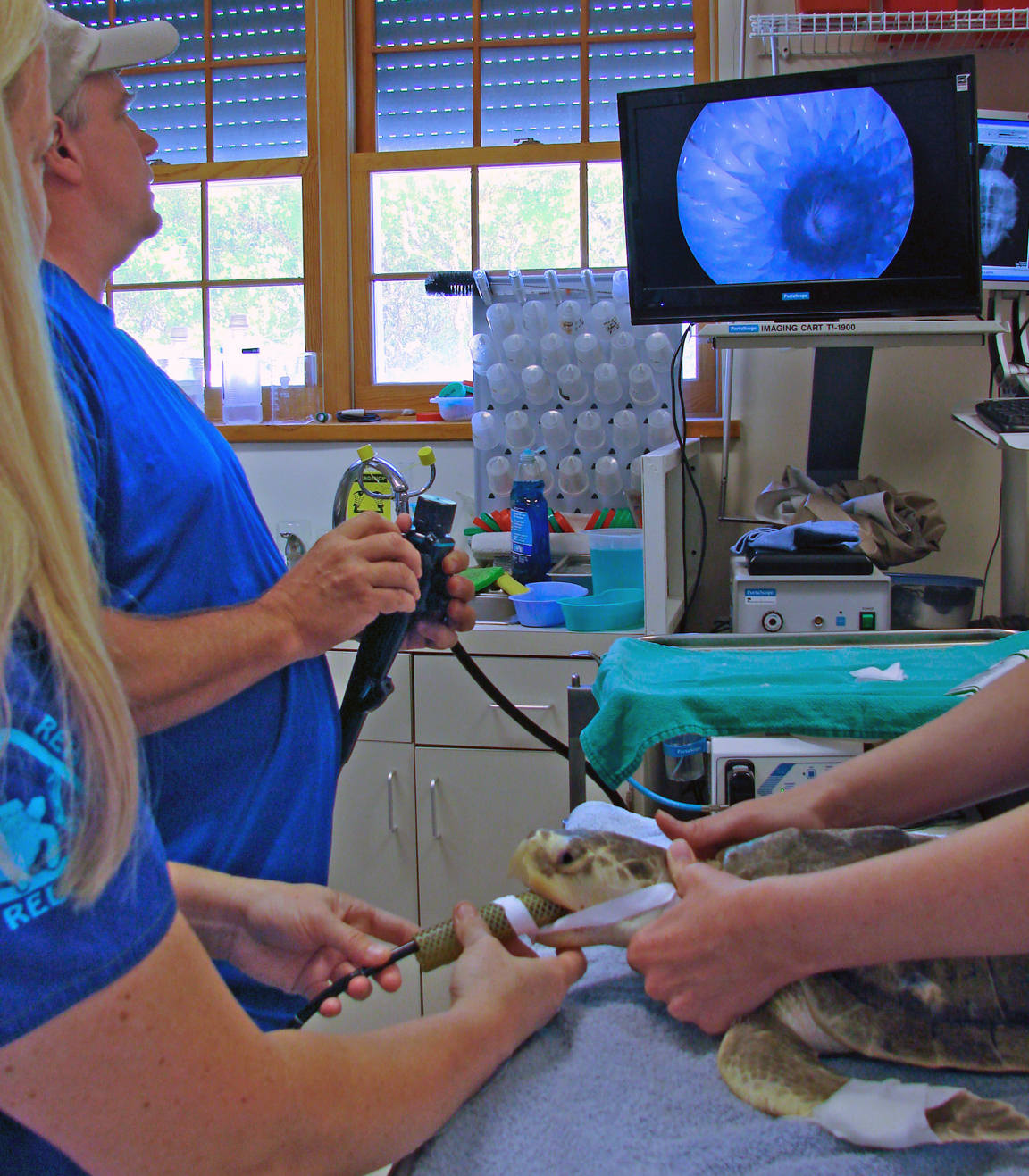 hospital staff looking at x-ray on monitor