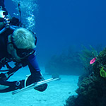 scuba diver doing underwater research about reefs