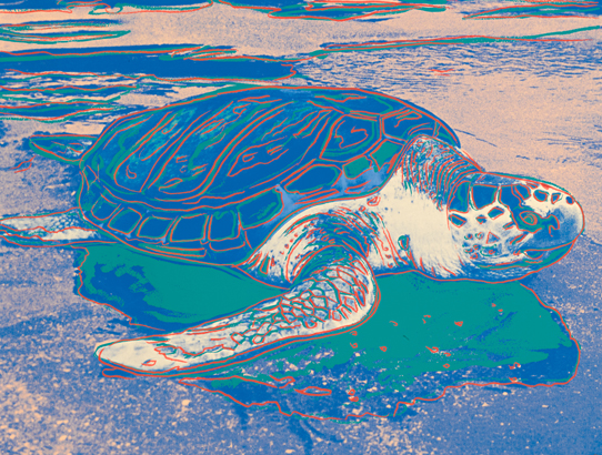 Ad exec donates Andy Warhol print to Marine Science Center