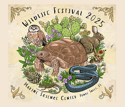 Celebrate Florida’s Wildlife at the Marine Science Center’s Wildlife Festival