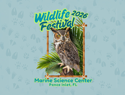 Wildlife Festival 2026