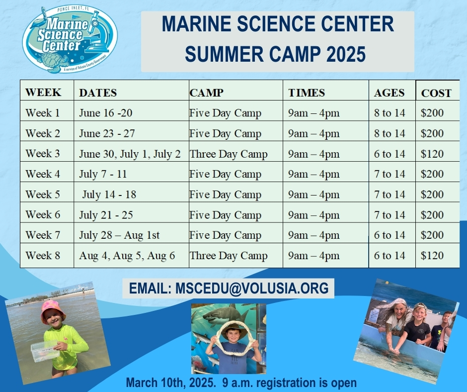 Marine Science Center Summar Camp dates. Week 1, date June 16 - 20, five day camp, ages 8 - 14, cost $200. Week 2 June 23 - 27, five day camp, 8 - 14, cost $200. Week 3 June 30th, July 1 & 2nd, three day camp, 9 - 4, ages 6 - 14, $120. Week 4, July 7 - 11, five day camp, 9 - 4, ages 7 - 14, $200. Week 5, July 14 - 18, five day camp, 9 - 4, ages 7 - 14, $200. Week 6 July 21 - 25, five day camp, 9 - 4, ages 7 -14, $200. Week 7, July 28 - August 1st, five day camp, 9 - 4, ages 6 - 14, $200. Week 8, August 4, 5, and 6th, three day camp, 9 - 4, ages 6 -14, $200. Email: mscedu@volusia.org. March 10, 2025. 9:00am  registration is open.