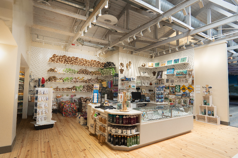 picture of the marine science center gift shop